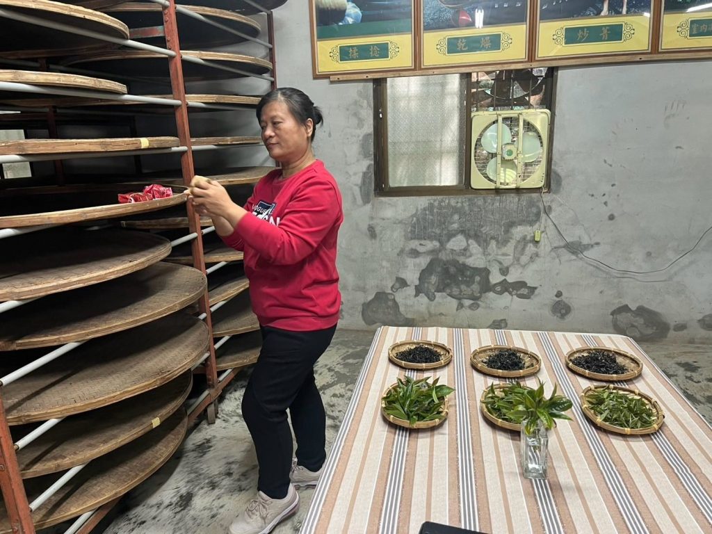 LINE_ALBUM_0320風茶米_250321_52