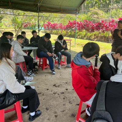 首頁-分項二 圖片